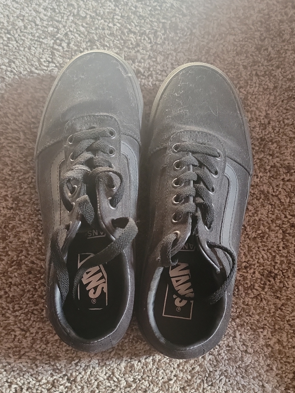 Vans Black Low-Top Canvas Sneakers
